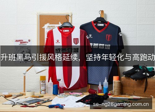升班黑马引援风格延续,坚持年轻化与高跑动 升班黑马引援风格延续,坚持年轻化与高跑动