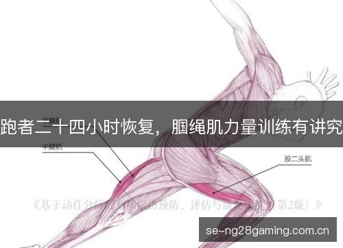 跑者二十四小时恢复,腘绳肌力量训练有讲究 跑者二十四小时恢复,腘绳肌力量训练有讲究